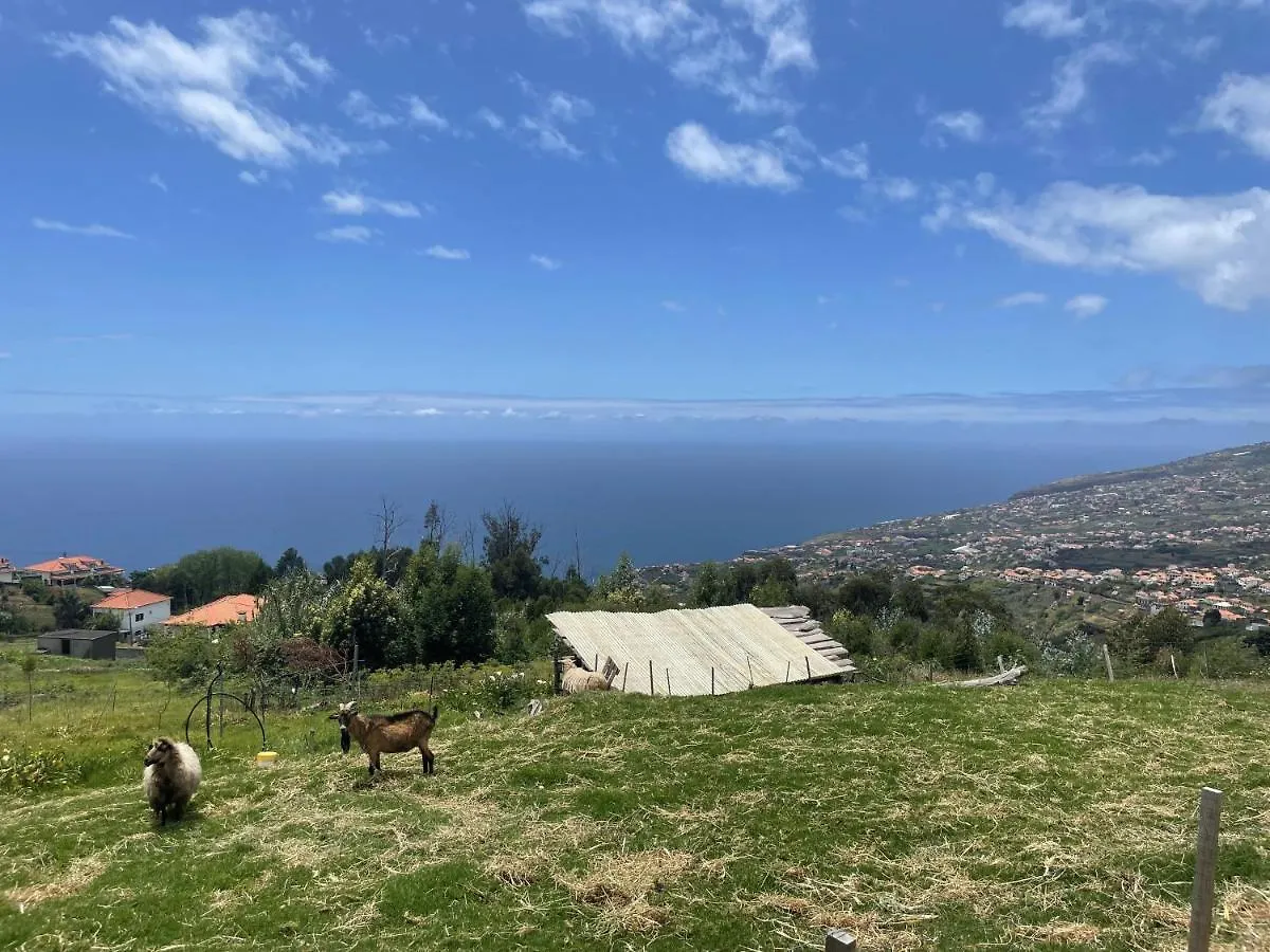 Villa Da Silva Arco da Calheta